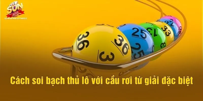 Cách soi bạch thủ lô với cầu rơi từ giải đặc biệt