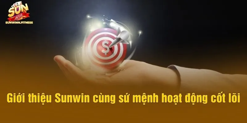 Giới thiệu Sunwin cùng sứ mệnh hoạt động cốt lõi