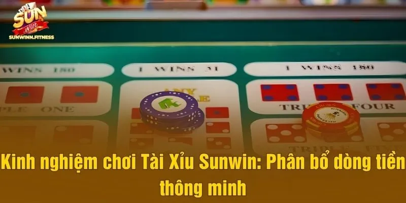 Kinh nghiệm chơi Tài Xỉu Sunwin: Phân bổ dòng tiền thông minh