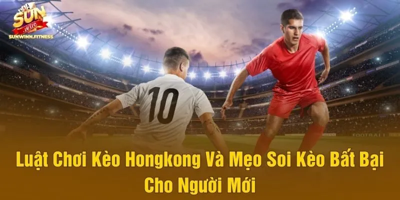 Luật Chơi Kèo Hongkong Và Mẹo Soi Kèo Bất Bại Cho Người Mới