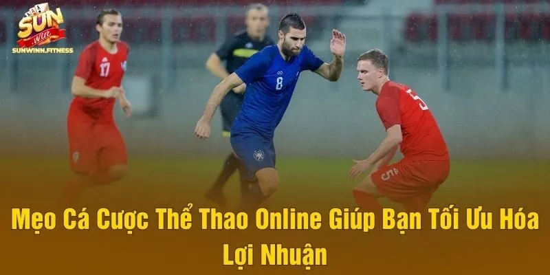 Mẹo Cá Cược Thể Thao Online Giúp Bạn Tối Ưu Hóa Lợi Nhuận